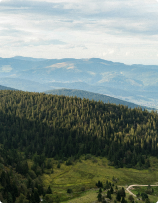 Photo du massif alsacien